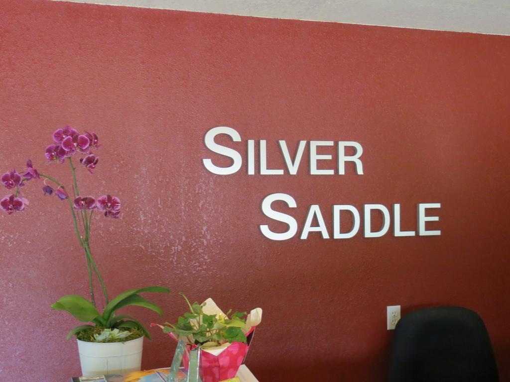 Silver Saddle Motel Manitou Springs Exteriör bild